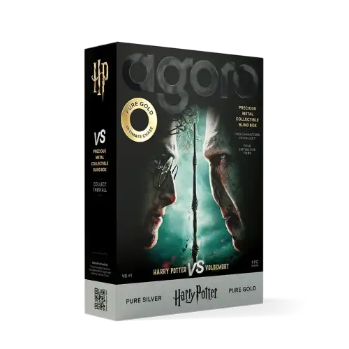 Harry Potter VS Voldemort 2026 - 5g Precious Metal Collectible Sealed Blind Box